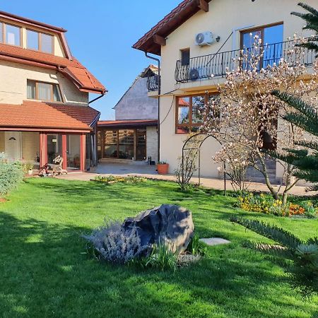 Casa Irinella Bed and Breakfast Satu Mare Eksteriør billede